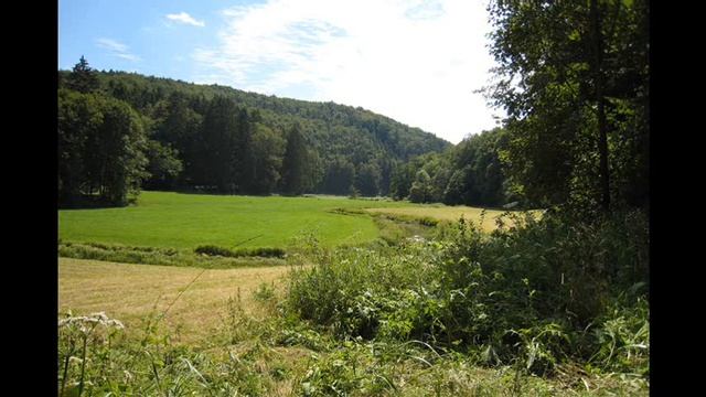 Improvisation für Klavier in altem Stil 2004 Volker Nies смотреть онлайн