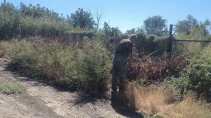 Продолжаю делать грядки Хольцера. да и трава, будь она..., никуда не денется - надо дергать.