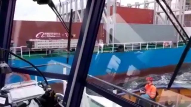 Лоцман. Отбили мордочку.