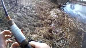 ПОКЛЕВКА и вываживание Форели на ультралайтовое удилище