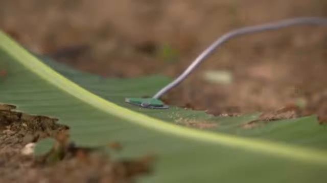 Топ 10 безумных и крутых вещей с алиэкспресс смотреть онлайн