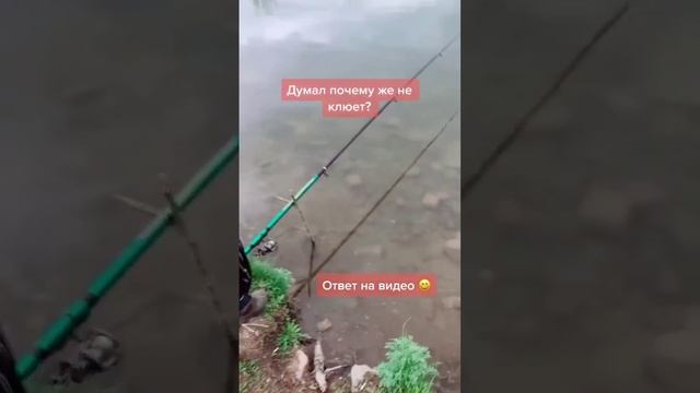 Так вот почему у меня рыба не клюет🤣 смотреть онлайн