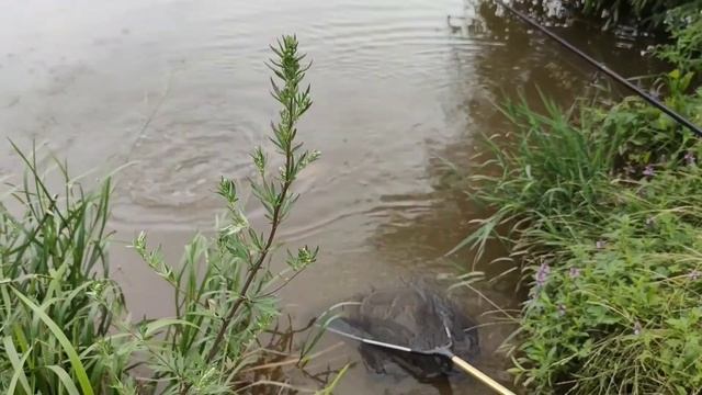 Рыбалка после грозы смотреть онлайн