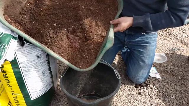 Allotment update #2 growing carrots in buckets смотреть онлайн