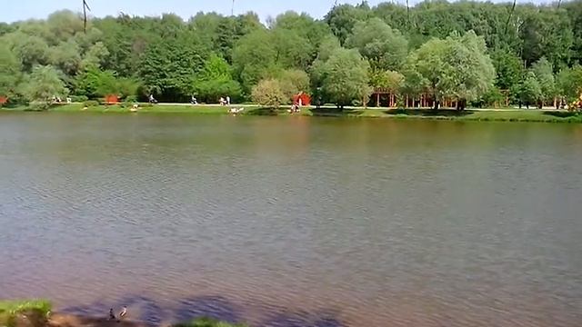 Пруд в Терлецком парке. Автор Николай Макуха смотреть онлайн
