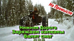 Нижняя дорога Заряжаем капканы Валит снег 23 10 24