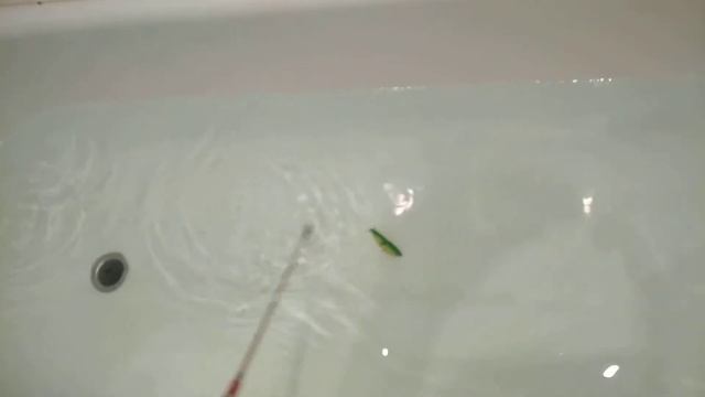 Тонущий безлопастной свимбэйт 60s смотреть онлайн