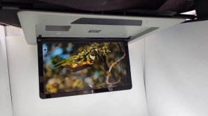Потолочный монитор для Toyota Alphard 2015+