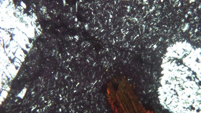 Domite au microscope polarisant (LPA) смотреть онлайн