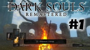 Жизнь и смерть! Dark souls remastered Полное прохождение за ловкача #1