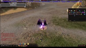 Karos Arena играем палом 103лвл