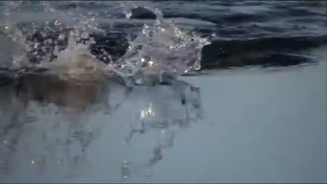 рыбалка 11 июня 002.MOD смотреть онлайн