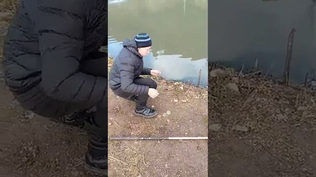 Рыбалка на радужную фарель в Горном Алтае.