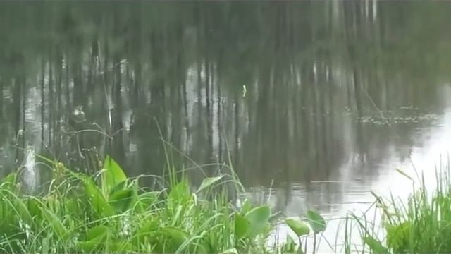 Рыбалка 2020. Пошли за карасем а поймали........ смотреть онлайн