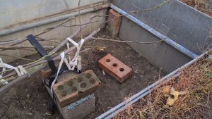 Укрытие инжира на зиму в средней полосе России (Самарская область).