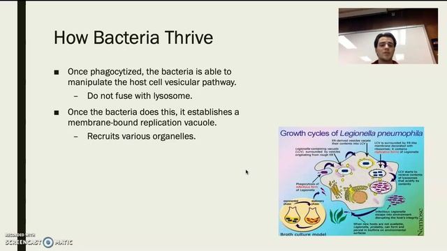 Legionnaires Disease смотреть онлайн