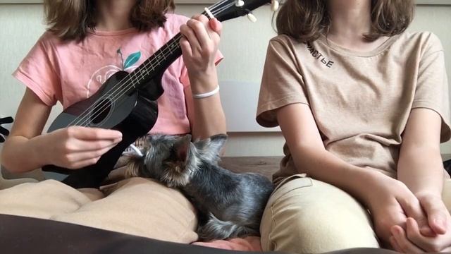 Алёна Швец - Ромочка смотреть онлайн