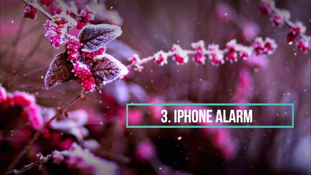Best 5 IPhone Ringtones | Trending Remix Ringtones | Download Now