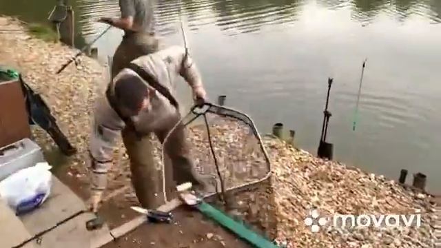 Осетр клюет в Ольгово. смотреть онлайн