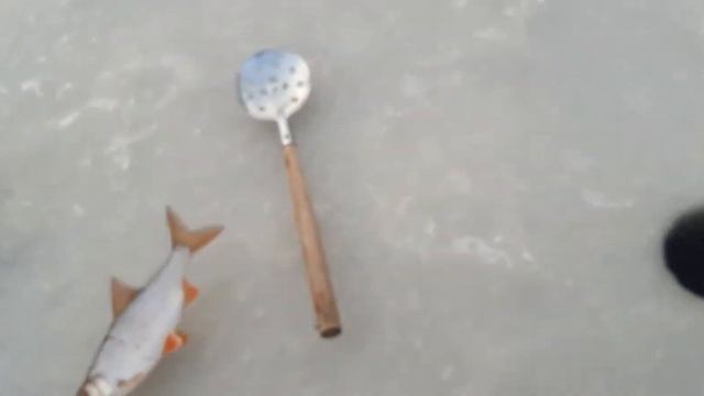 Поездка в Дублин на рыбалку.))) Анонс...Полное видео на подходе))) смотреть онлайн