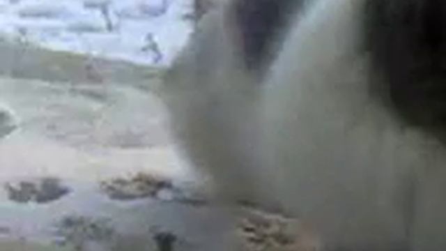 Кошки на окошке смотреть онлайн