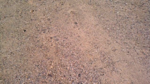 1964 savoy смотреть онлайн