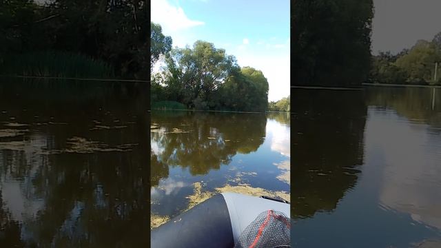 Ловля окуня в траве на микроприманки