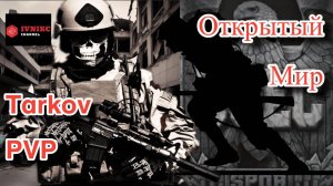 Открытый Мир | Можно ли Жить в Таркове Без PVE?