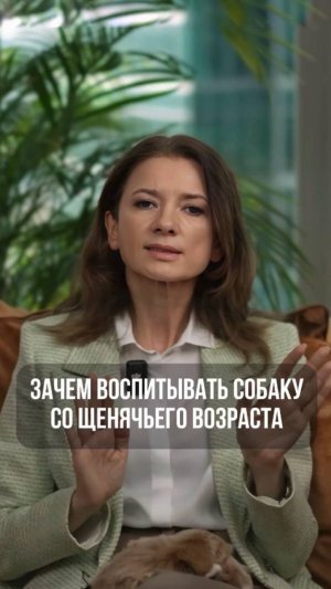 Зачем воспитывать собаку со щенячьего возраста?