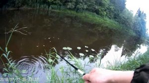 Окунь на неогруженый силикон и на червя