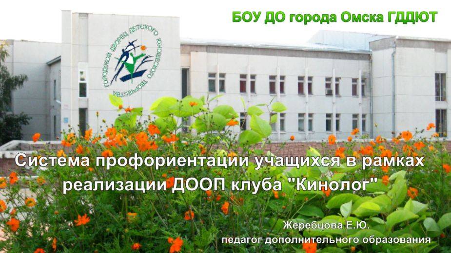 Система профориентации учащихся в рамках реализации ДООП клуба "Кинолог"