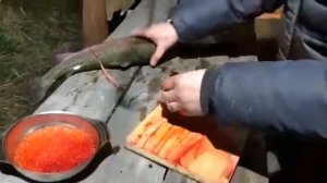 Форель радужная с икрой, чистим