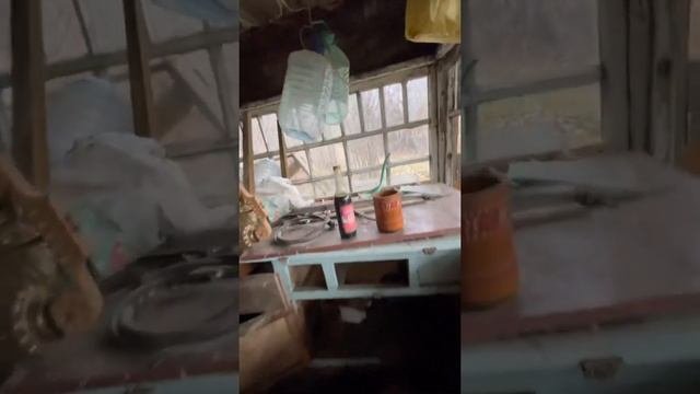 Настоящая деревня Малиновка часть 3
