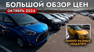 САМЫЕ ПОПУЛЯРНЫЕ АВТО❗️ БОЛЬШОЙ ОБЗОР ЦЕН❗️ УНИВЕРСАЛЫ, МИНИВЭНЫ, КРОССОВЕРЫ❗️ ОКТЯБРЬ 2024