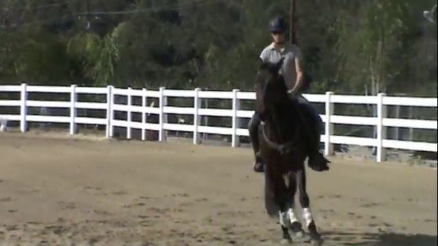 bravo смотреть онлайн