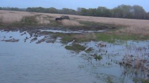 Шипуново. За первым мостиком 09.05.2019
