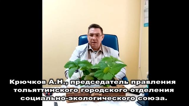 Крючков Андрей Николаевич