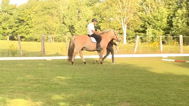 #15 Working Trail BS смотреть онлайн