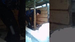 строительство землянки в лесу