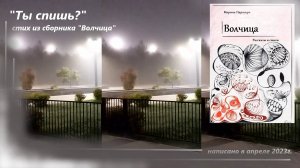 "Ты спишь?" - стих из сборника рассказов и стихов "Волчица"