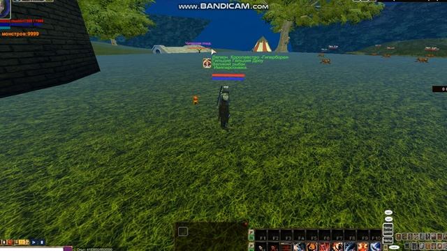 Overlord Of Kingdoms.    Распределение навыков и выбор цели