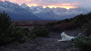 Так заканчиваются экспедиции....