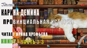 01.01-3 Карина Демина - Провинциальная история. Книга 1. Часть 1-3.