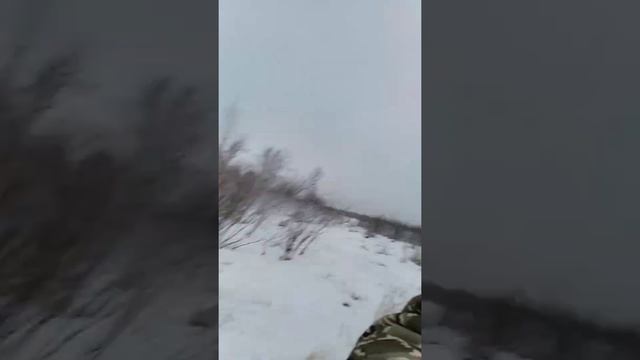 проверяю болотные ручьи , вердикт не утешительный #зимняя #рыбалка смотреть онлайн