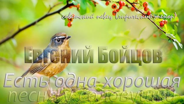 Евгений Бойцов - Есть одна хорошая песня у соловушки смотреть онлайн