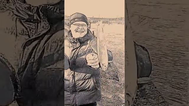 Хариус на Енисее смотреть онлайн