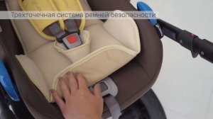 SOLE Трехточечная система ремней безопасности