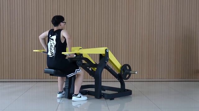 Seated Dip Z972 смотреть онлайн