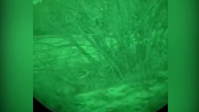 Украинская ночь, то самое страшное время для врага смотреть онлайн