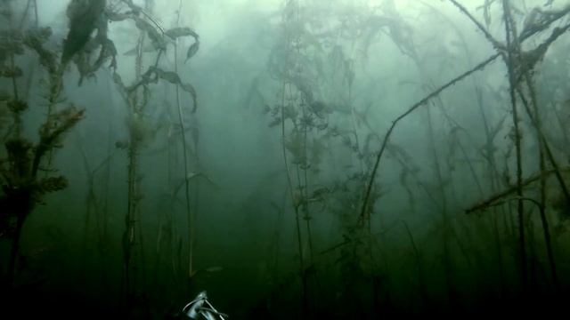 Линь да щучка смотреть онлайн